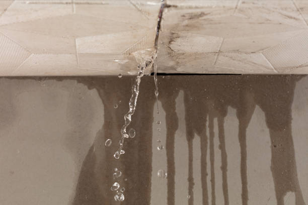 Professional Structural Drying technician working in Strathmore, CA